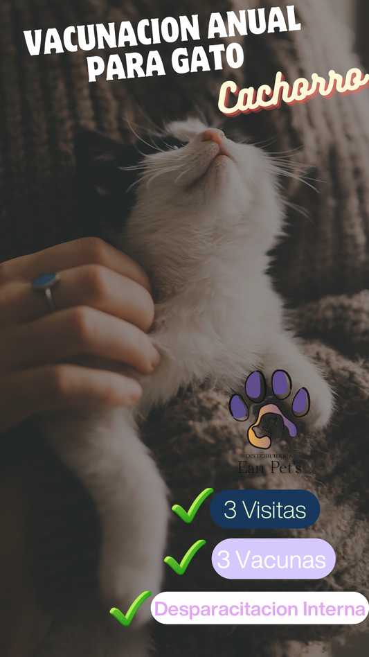 Vacunación Anual Para Gato Cachorro - Basic