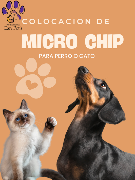 Microchip para Identificación de Perro y Gato a DOMICILIO