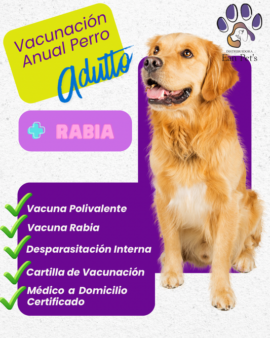 Vacunación Anual Para Perro + Rabia