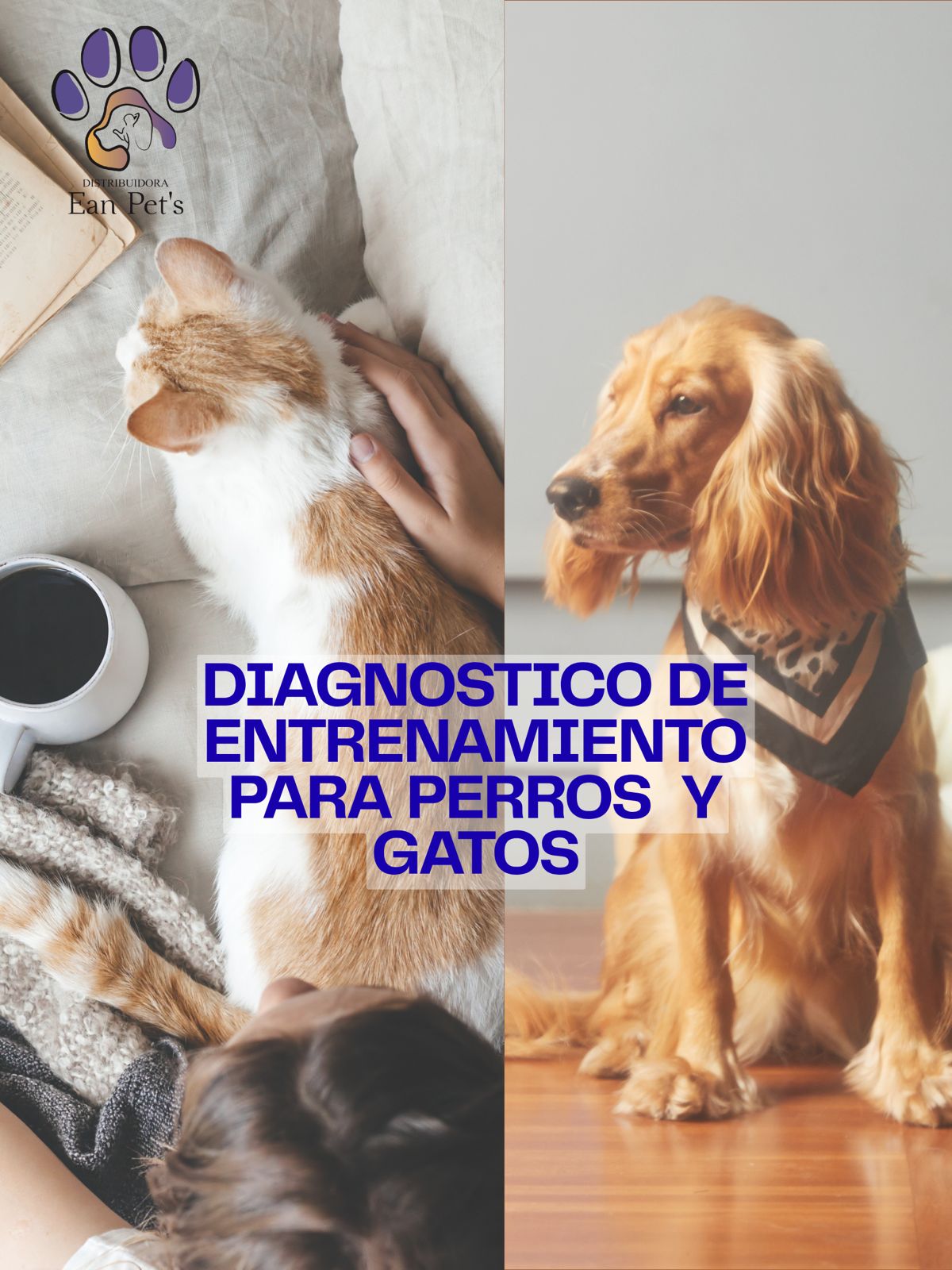 Diagnostico y Entrenamiento a Domicilio para Perros y Gatos