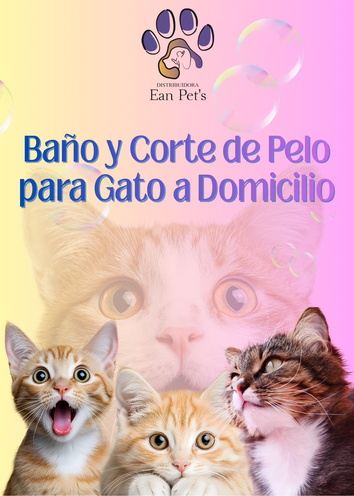 Baño y Corte de Pelo para Gato a Domicilio en CDMX & Estado de México