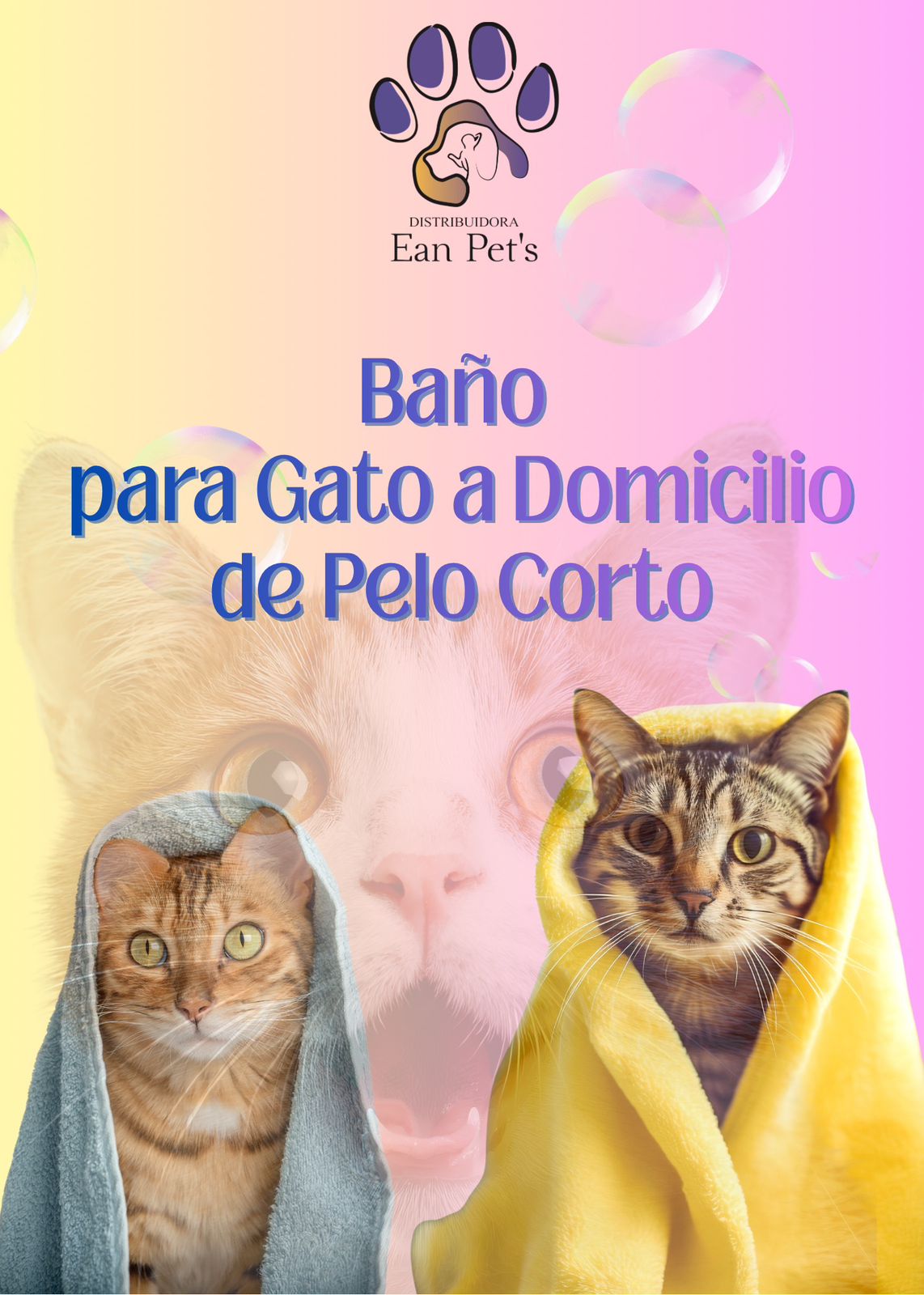 Baño para Gato a Domicilio en CDMX & Estado de México