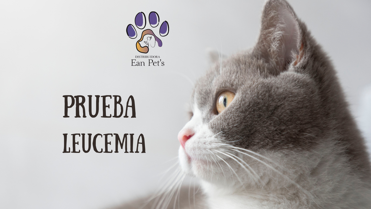 Prueba de Detección de Sida y Leucemia para Gato
