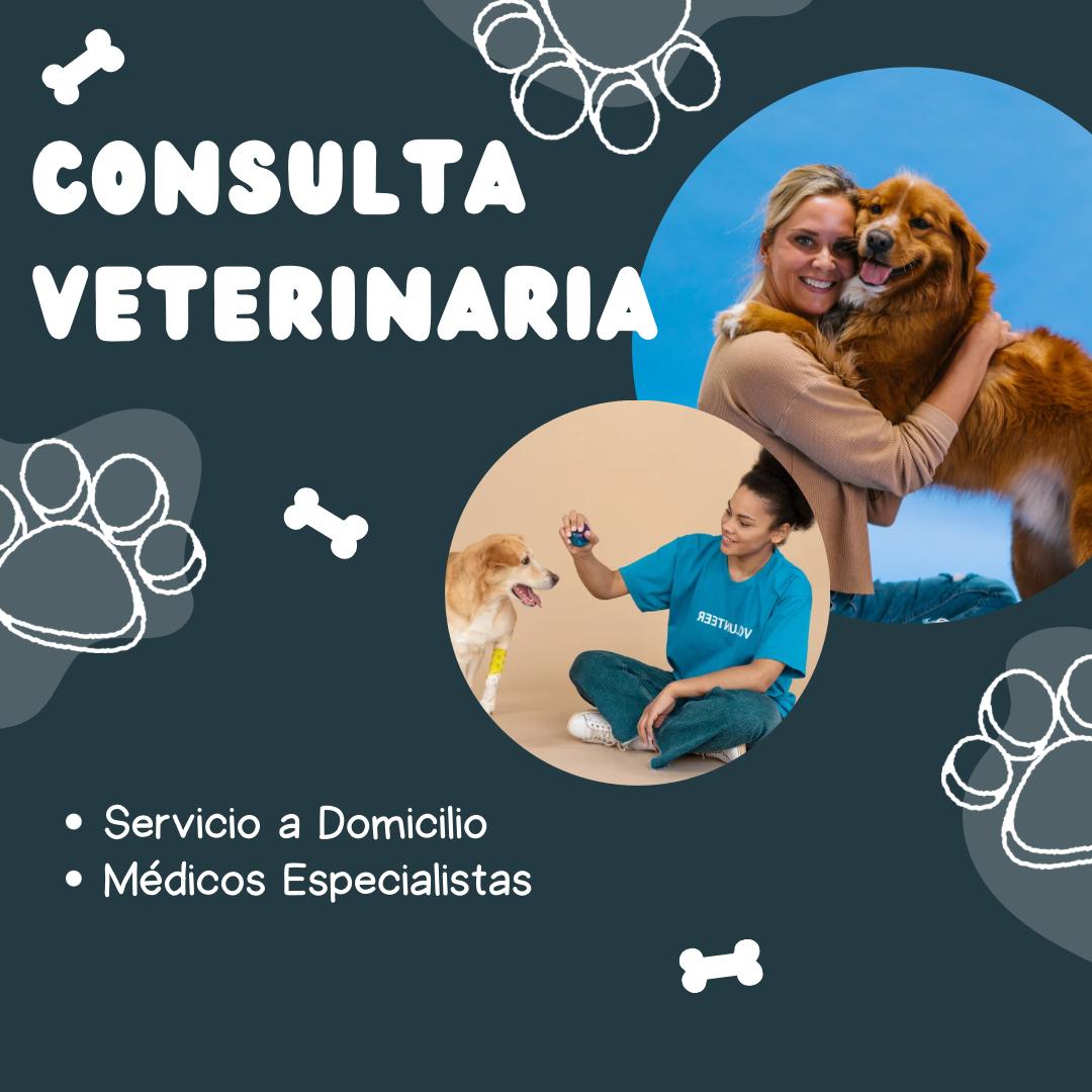 Consulta Veterinaria a Domicilio